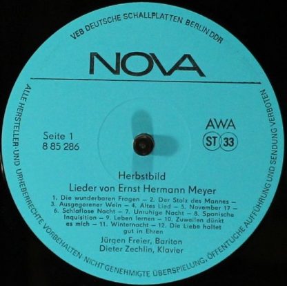 Nova 8 85 286 - Herbstbild - Image 4