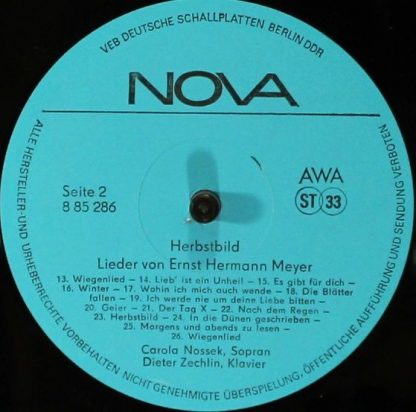 Nova 8 85 286 - Herbstbild - Image 3