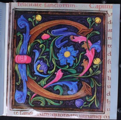 Hungaroton LPX 11477 - Schola Hungarica - Gregorian Chant From H - Image 6