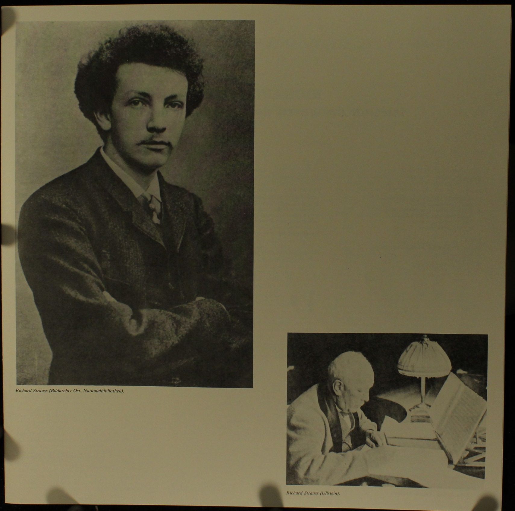 ARION ARN 336019 - Richard Strauss - Intégrale Des Oeuvres Pour - Image 3